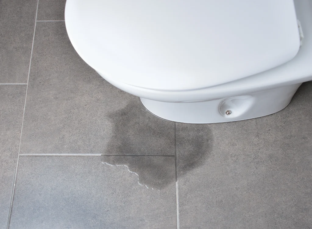 Toilet leaking at base with water pooling on bathroom tile floor near the toilet seal