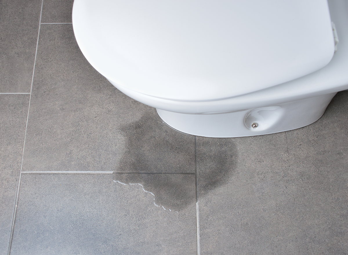 Toilet Leaking at Base? Causes & How to Fix It Fast