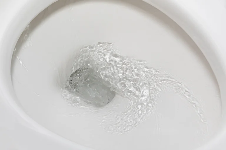 Can You Flush Hair Down the Toilet? Plumbing Facts