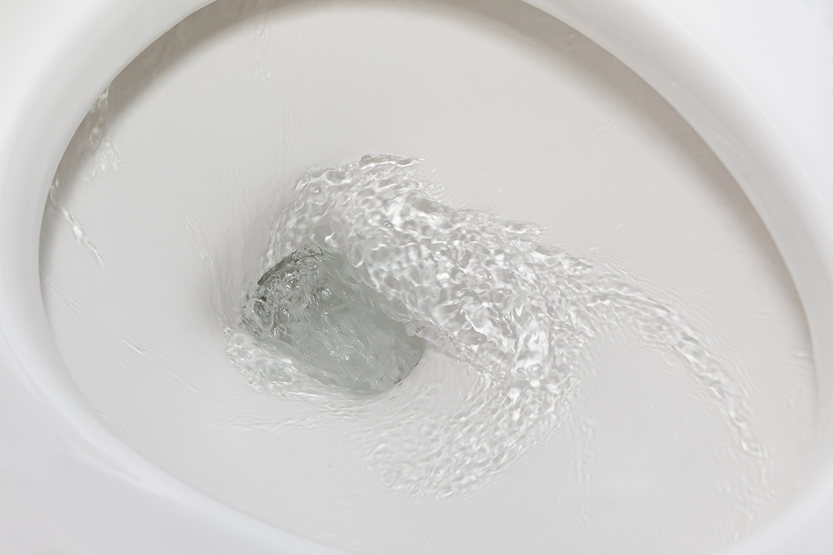 Can You Flush Hair Down the Toilet? Plumbing Facts