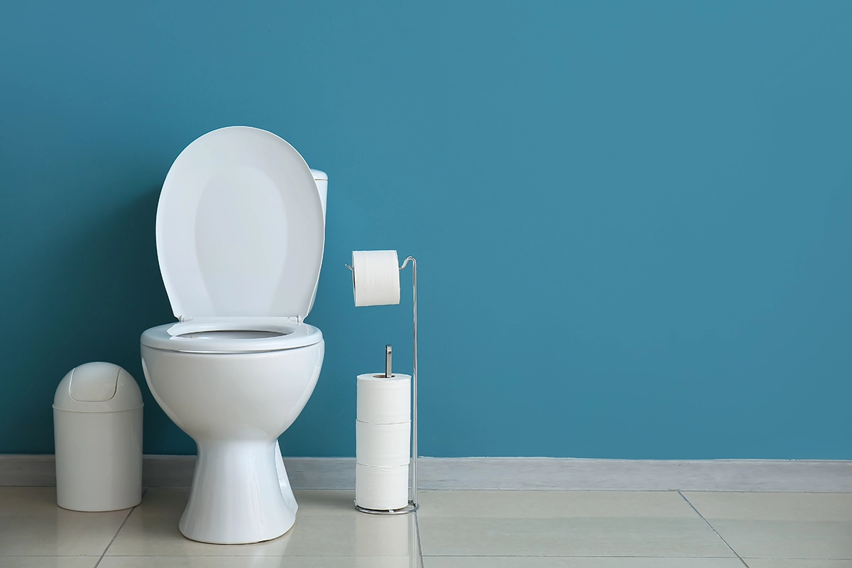 Understanding Toilet Parts: A Homeowner’s Guide