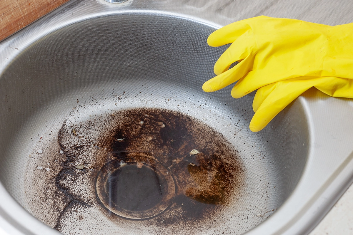 How to Get Rid of Drain Flies: Complete Guide